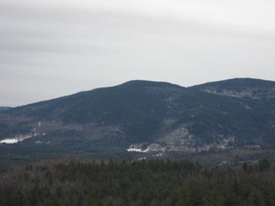 Mtwhittierprofile