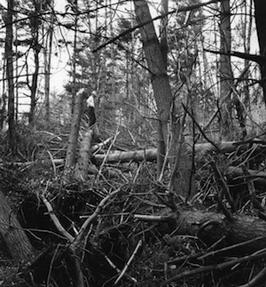 hurricane_38